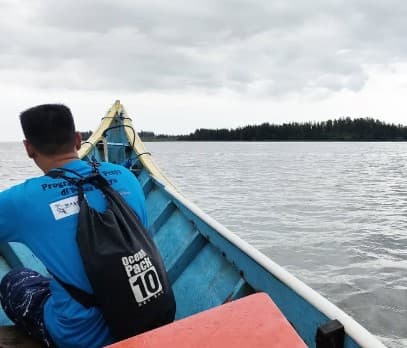 Survei Habitat Penyu